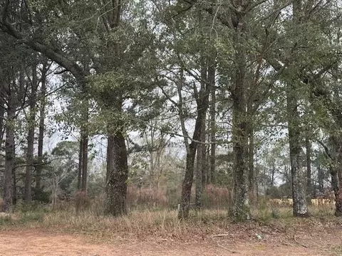8601 Grelot Rd, Mobile, AL 36695