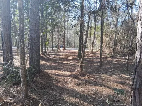 0 Dolphin Dr, Theodore, AL 36582 photo 7