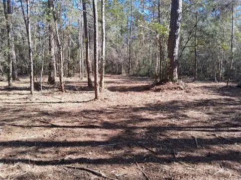 0 Dolphin Dr, Theodore, AL 36582