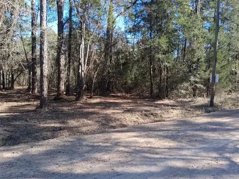 0 Dolphin Dr, Theodore, AL 36582 photo 3