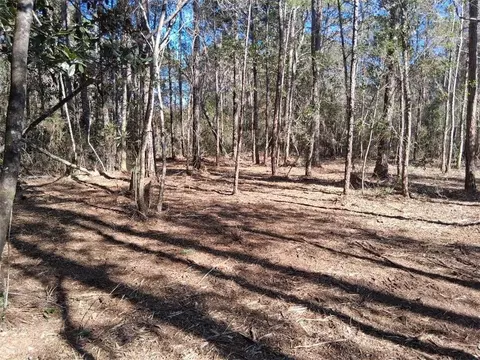 0 Dolphin Dr, Theodore, AL 36582 photo 6