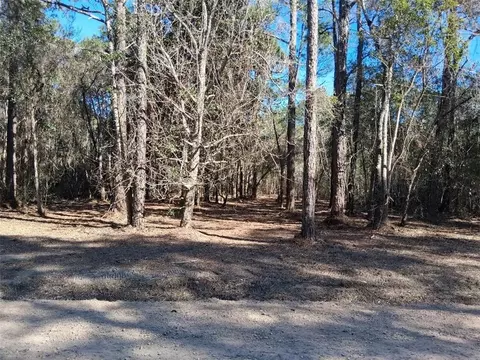 0 Dolphin Dr, Theodore, AL 36582 photo 4