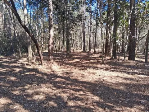 0 Dolphin Dr, Theodore, AL 36582 photo 5