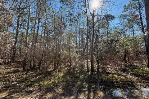 1869 Cedar Creek Cir, Coden, AL 36523 photo 3