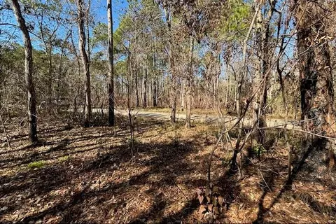 1869 Cedar Creek Cir, Coden, AL 36523