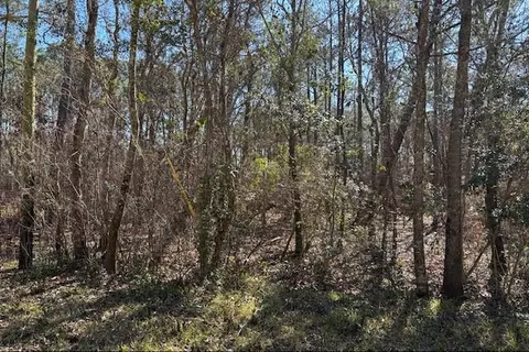 1869 Cedar Creek Cir, Coden, AL 36523 photo 6
