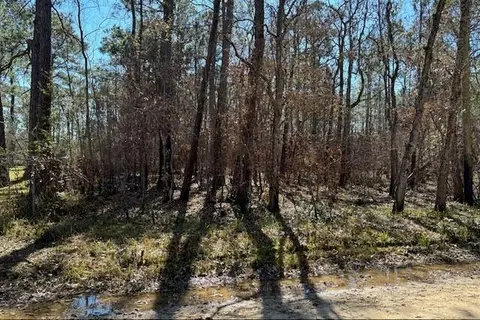 1869 Cedar Creek Cir, Coden, AL 36523 photo 2