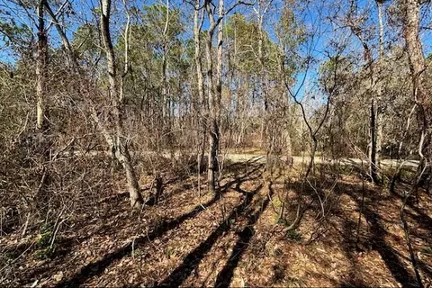 1869 Cedar Creek Cir, Coden, AL 36523 photo 5