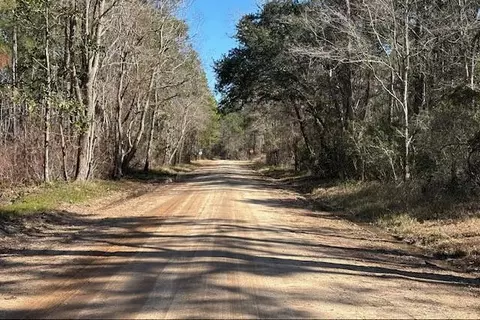 1869 Cedar Creek Cir, Coden, AL 36523 photo 7