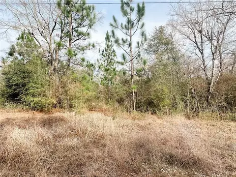 12180 Roberts Rd, Satsuma, AL 36572
