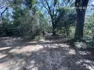 Other - 7215 Broadview Dr E, Theodore, AL 36582 photo 7 of 11
