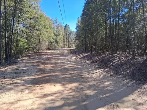 0 Williamson Rd, Chunchula, AL 36521 photo 8