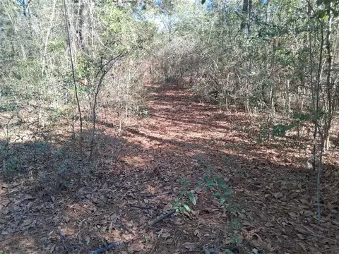 0 Williamson Rd, Chunchula, AL 36521 photo 5