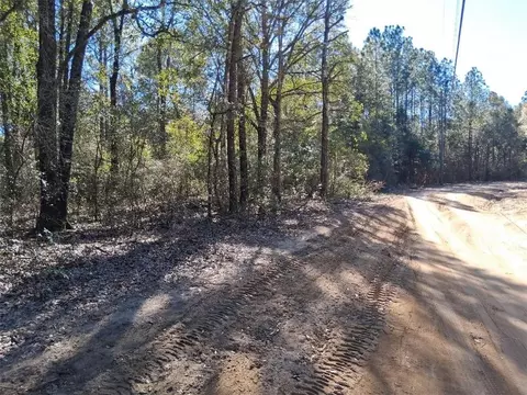 0 Williamson Rd, Chunchula, AL 36521 photo 3