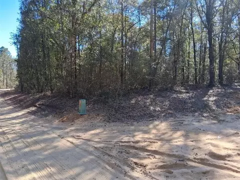 0 Williamson Rd, Chunchula, AL 36521