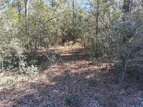 0 Williamson Rd, Chunchula, AL 36521 photo 4