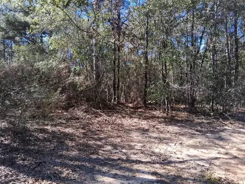 0 Williamson Rd, Chunchula, AL 36521 photo 2