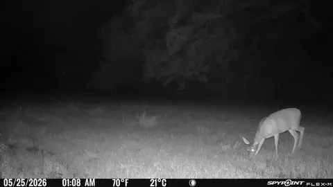 Other - 11475 Highway 43 N, Axis, AL 36505 photo 8 of 10