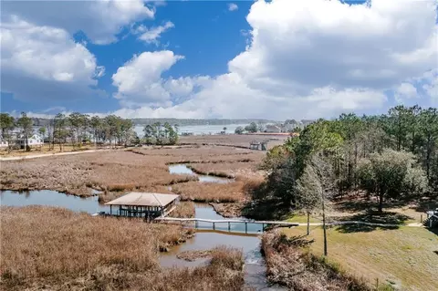 View/Area - 3180 Riverview Pointe Dr, Theodore, AL 36582 photo 3 of 8