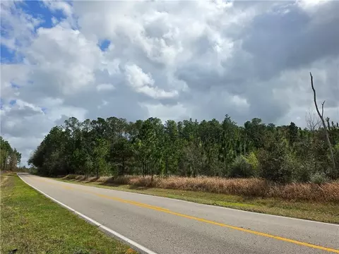0 Henry Davis Rd, Chunchula, AL 36521