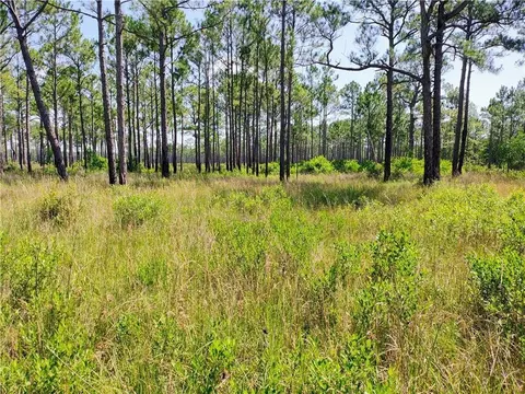0 Johnson Rd, Coden, AL 36523 photo 5