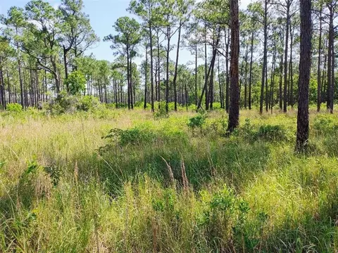 0 Johnson Rd, Coden, AL 36523 photo 3