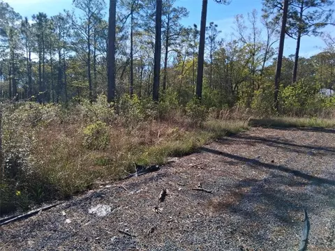 0 Johnson Rd, Coden, AL 36523 photo 16