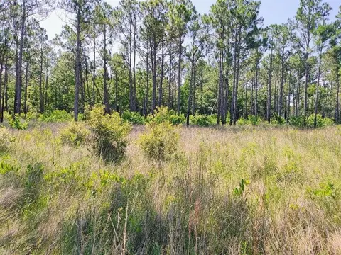 0 Johnson Rd, Coden, AL 36523 photo 10