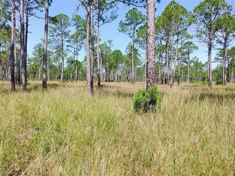 0 Johnson Rd, Coden, AL 36523 photo 9