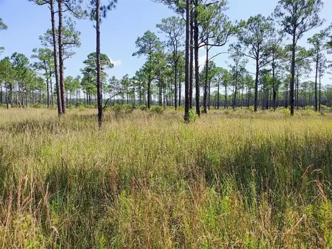 0 Johnson Rd, Coden, AL 36523 photo 6