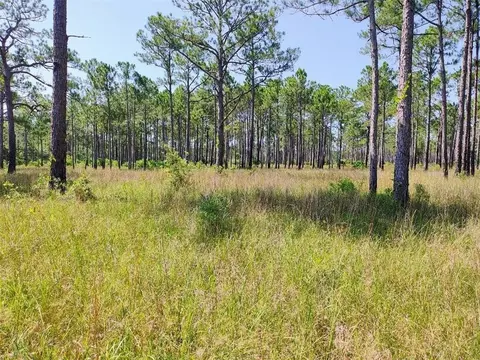 0 Johnson Rd, Coden, AL 36523 photo 8