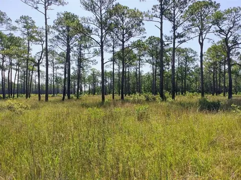 0 Johnson Rd, Coden, AL 36523 photo 7