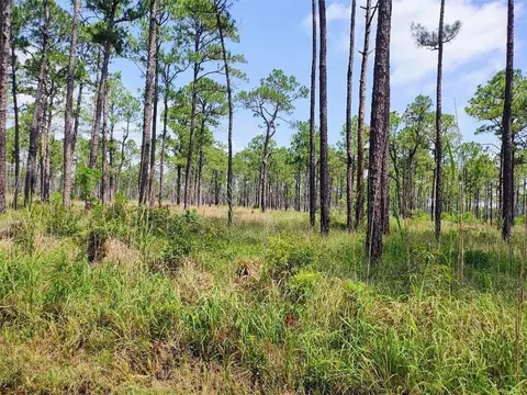0 Johnson Rd, Coden, AL 36523 photo 12