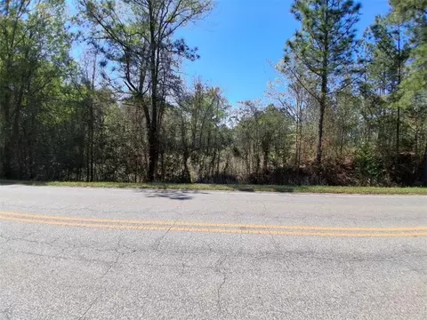0 Celeste Rd, Chunchula, AL 36521 photo 7