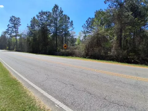 0 Celeste Rd, Chunchula, AL 36521 photo 3