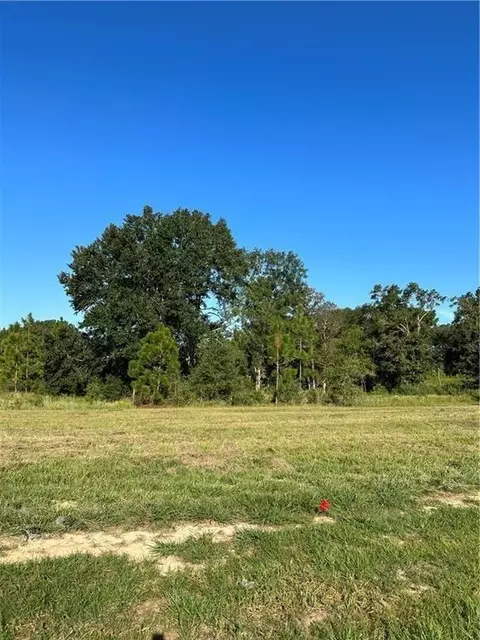0 Hampton Ridge Ct, Mobile, AL 36608 photo 8