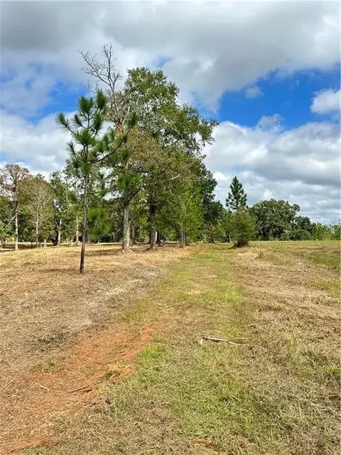 0 Hampton Ridge Ct, Mobile, AL 36608 photo 4