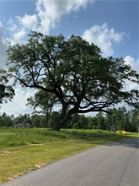 0 Hampton Ridge Ct, Mobile, AL 36608 photo 7