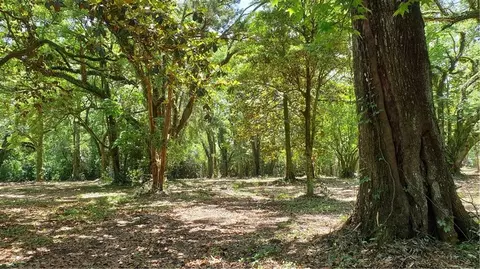 5377 Moffett Rd, Mobile, AL 36618