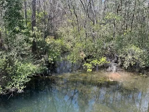 0 Old Pascagoula Rd, Theodore, AL 36582