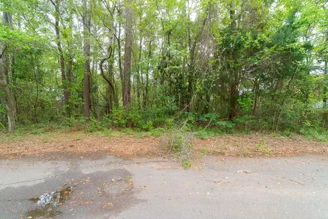 0 Worth Dr, Mobile, AL 36619 photo 2