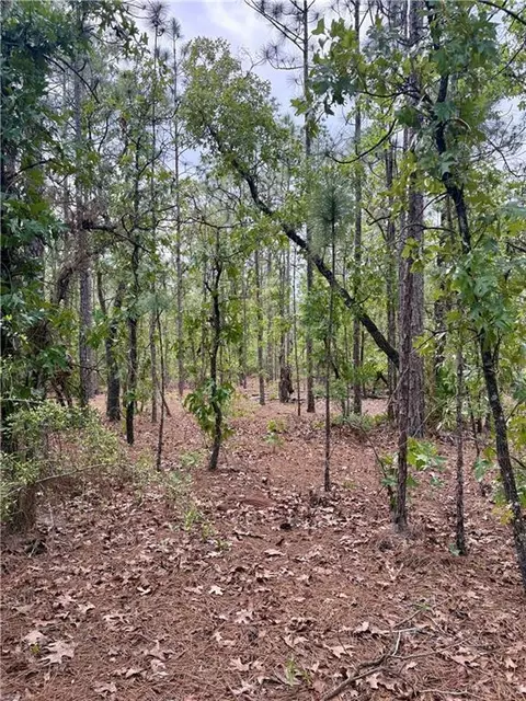 0 Longleaf Rd, Citronelle, AL 36522