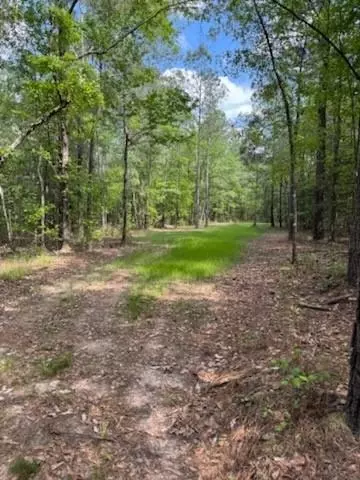 0 Gordy Rd, Tibbie, AL 36583
