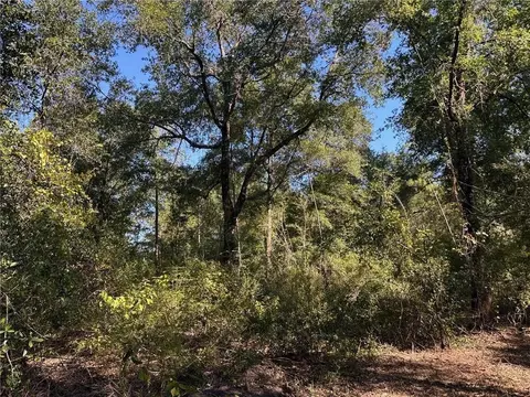 00 Newman Rd, Mobile, AL 36695 photo 22
