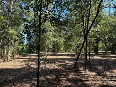 00 Newman Rd, Mobile, AL 36695 photo 19