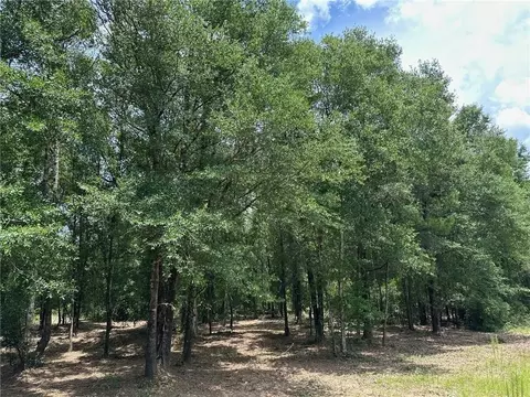 00 Newman Rd, Mobile, AL 36695 photo 13