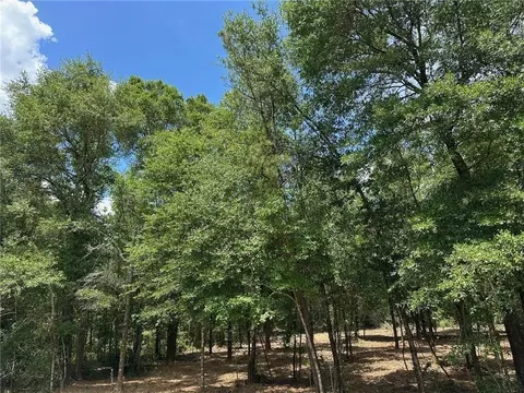 00 Newman Rd, Mobile, AL 36695 photo 12