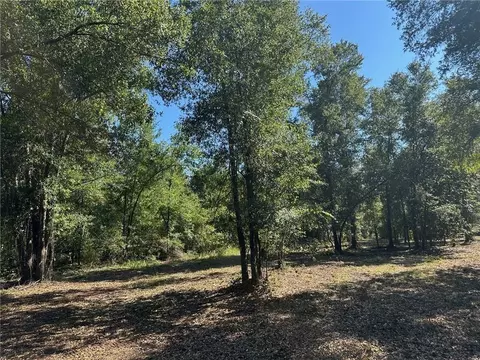 00 Newman Rd, Mobile, AL 36695 photo 20