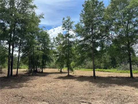 00 Newman Rd, Mobile, AL 36695 photo 2