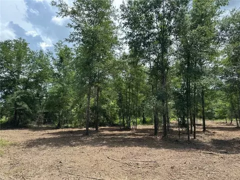 00 Newman Rd, Mobile, AL 36695 photo 6